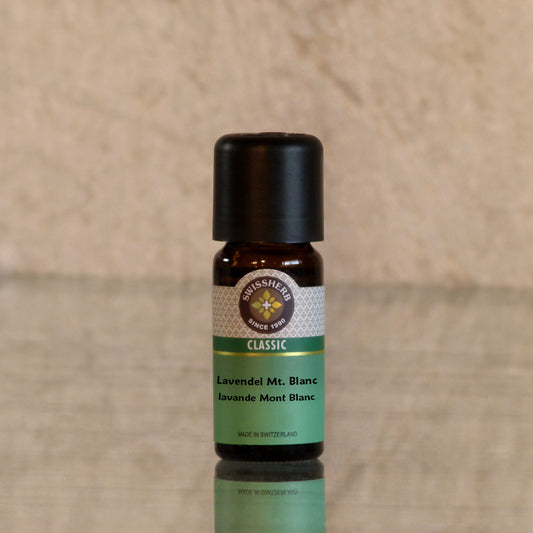 Lavendel Mt. Blanc neu Bio